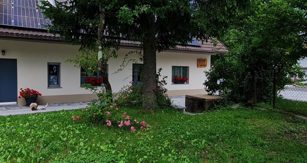 Nona Bb Bed & Breakfast โพสโตยนา ภายนอก รูปภาพ