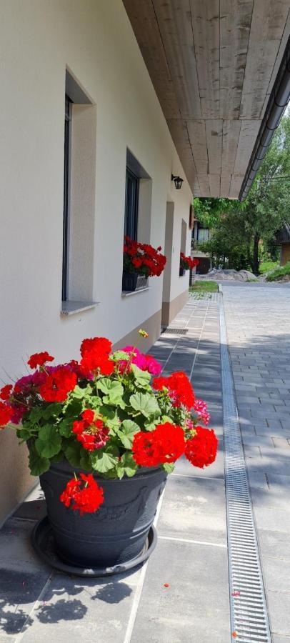 Nona Bb Bed & Breakfast โพสโตยนา ภายนอก รูปภาพ